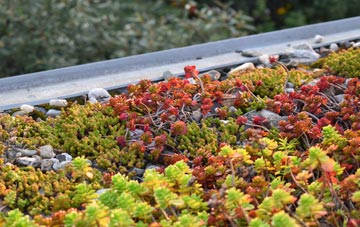 the cost of Bulverhythe green roof installation