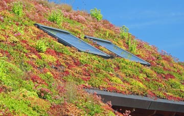 Bulverhythe living roof systems